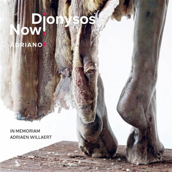 Adriano 5 - Dionysos Now! - Musique - EVIL PENGUIN - 0608917724721 - 3 mai 2024