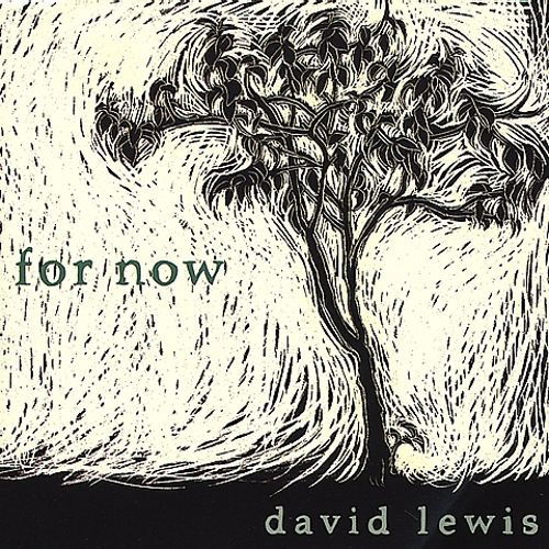 For Now - David Lewis - Musik - APPLESEED - 0611587105721 - 10 mars 2005