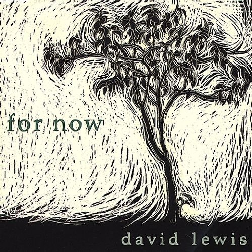 For Now - David Lewis - Música - APPLESEED - 0611587105721 - 10 de marzo de 2005
