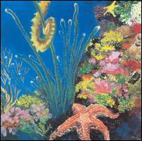 Cover for Ekoostik Hookah · Seahorse (CD) (2002)