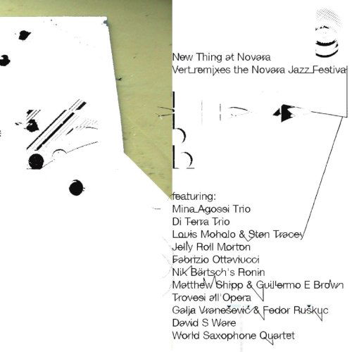 New Thing at Novara Vert Remixes - Aa.vv. - Musik - SONIG - 0655035136721 - 25 september 2008