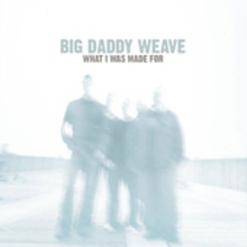 Cover for Big Daddy Weave · What I Was Made for (CD) (2005)