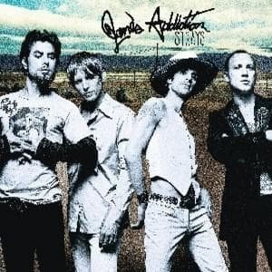 Cover for Janes Addiction · Strays (CD) (2010)