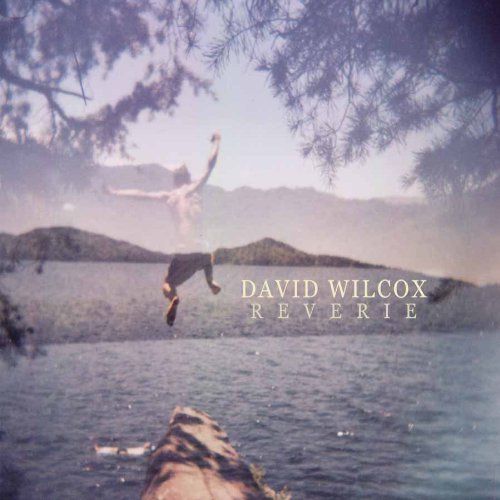 Cover for David Wilcox · Reverie (CD) (2010)