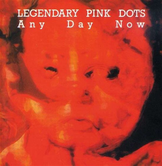 Cover for Legendary Pink Dots · Any Day Now (CD) (2008)