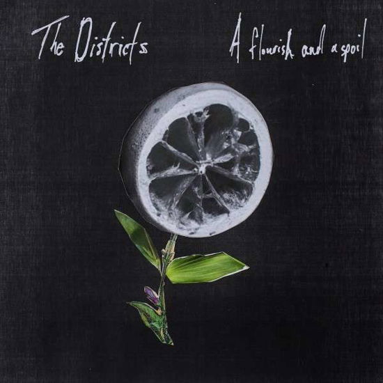 The Districts · A Flourish And A Spoil (CD) (2015)