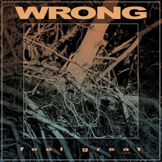 Cover for Wrong · Feel Great (CD) (2019)