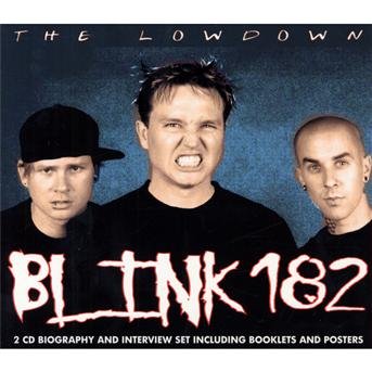 Cover for Blink 182 · The Lowdown (CD) (2010)