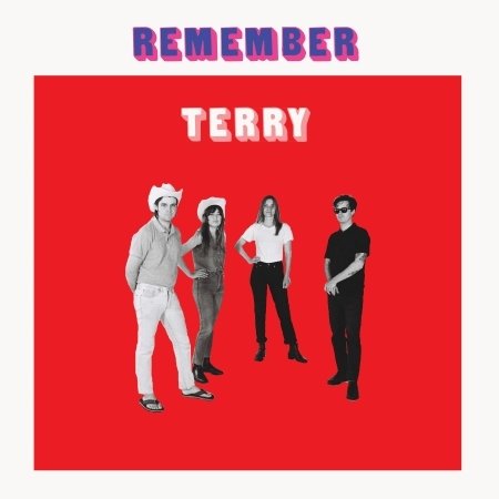 Remember Terry - Terry - Musik - UPSET THE RHYTHM - 0828887009721 - 30. juni 2017