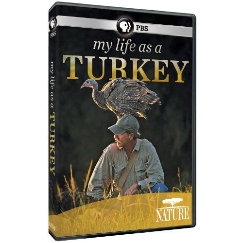 Cover for Nature: My Life As a Turkey (DVD) (2011)