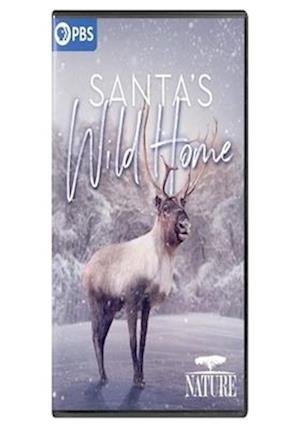 Nature: Santa's Wild Home (DVD) (2021)