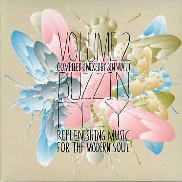 Cover for Ben Watt · Buzzin Fly 2 (CD) [Digipak] (2005)