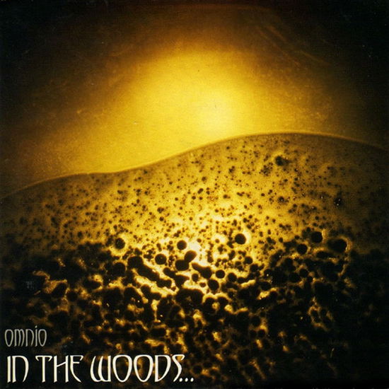 In The Woods · Omnio (LP) (2022)