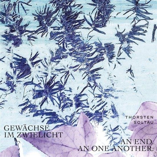 Cover for Thorsten Soltau · Gewachse Im Zwielicht (CD) (2022)