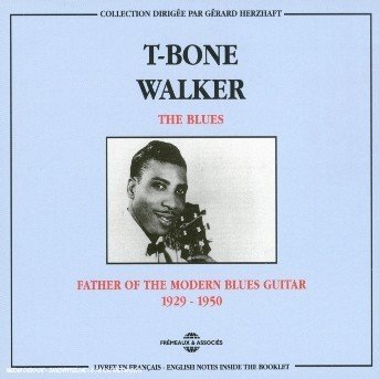 Cover for T-Bone Walker · Blues: Father Of The Modern Blues Guitar (CD) (2001)