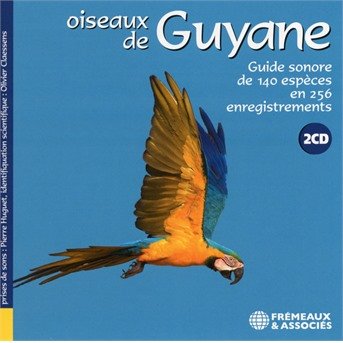 Cover for Oiseaux De Guyane - Guide Sonore · Pierre Huguet. Olivier Claessens (CD) (2020)