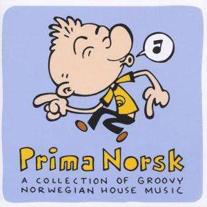 Cover for Razlicni Izvajlci · Prima Norsk Groovy (CD) (2004)