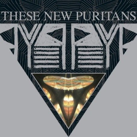 Cover for These New Puritans · Beat Pyramid (CD) (2008)