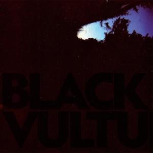 Cover for Daniel Norgren · Black Vultures (LP) (2020)