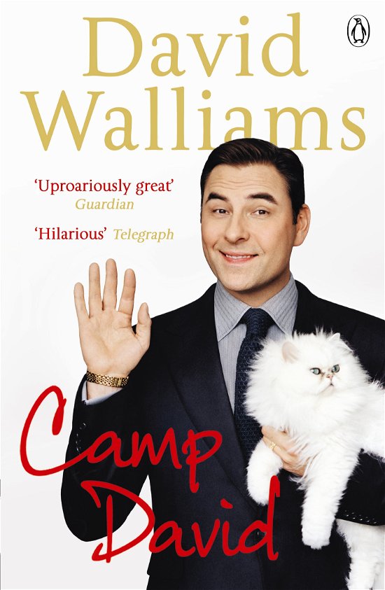 Cover for David Walliams · Camp David (Paperback Book) (2013)
