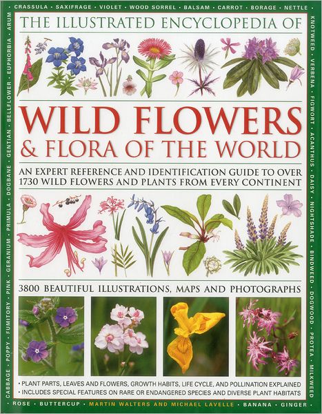 Illustrated Encyclopedia of Wild Flowers & Flora of the World - Martin Walters - Książki - Anness Publishing - 9780754819721 - 1 maja 2011