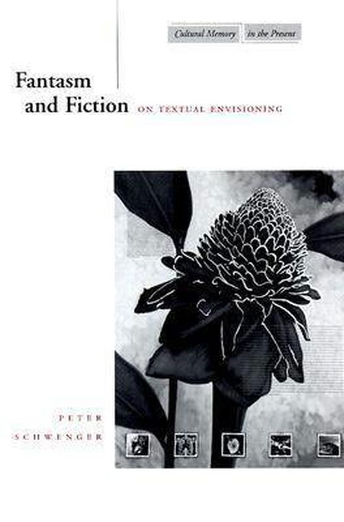 Cover for Peter Schwenger · Fantasm and Fiction: On Textual Envisioning - Cultural Memory in the Present (Pocketbok) (1999)