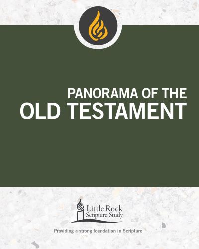 Cover for Stephen J. Binz · Panorama of the Old Testament (Paperback Book) (2018)