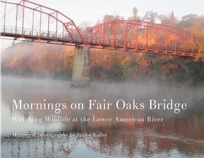 Cover for Janice Kelley · Mornings on Fair Oaks Bridge (Paperback Book) (2018)