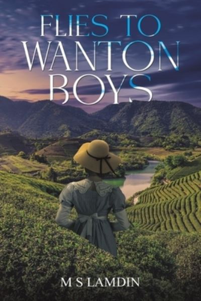 Cover for M S Lamdin · Flies to Wanton Boys (Paperback Book) (2024)