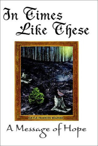 Cover for Gayle Frances Wojnar · In Times Like These: a Message of Hope (Hardcover Book) (2002)
