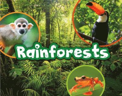 Cover for Kelly Gaffney · Rainforests - On Topic (Hardcover Book) (2019)