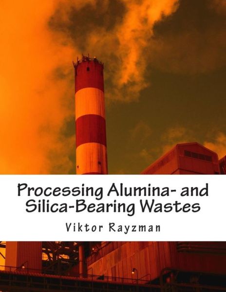 Cover for Viktor L Rayzman · Processing Alumina- and Silica-bearing Wastes: Integration of Industrial Processes (Paperback Book) (2014)