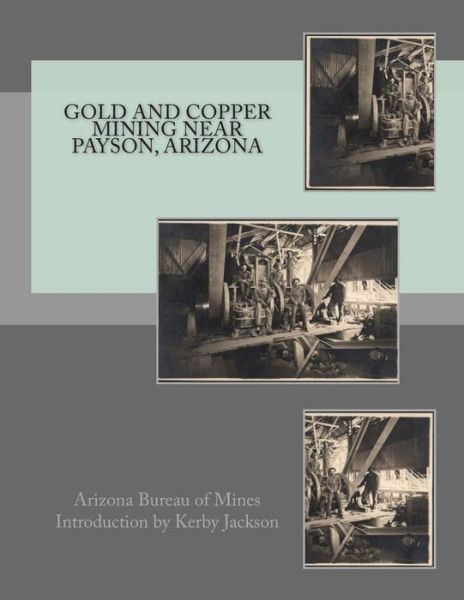 Cover for Arizona Bureau of Mines · Gold and Copper Mining Near Payson, Arizona (Paperback Book) (2015)