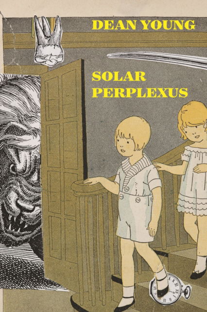 Cover for Dean Young · Solar Perplexus (Hardcover Book) (2019)