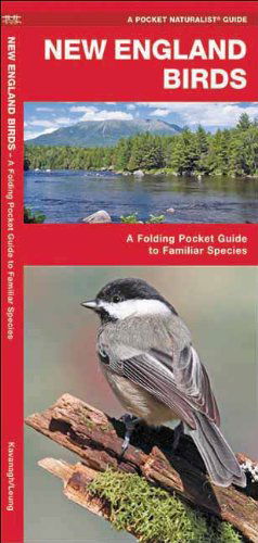 Cover for James Kavanagh · New England Birds: a Folding Pocket Guide to Familiar Species (Pocket Naturalist Guide Series) (Pamphlet) [1st edition] (2018)