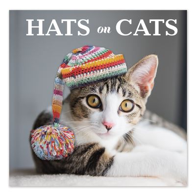 Hats on Cats - New Seasons - Books - New Seasons - 9781645583721 - September 15, 2020