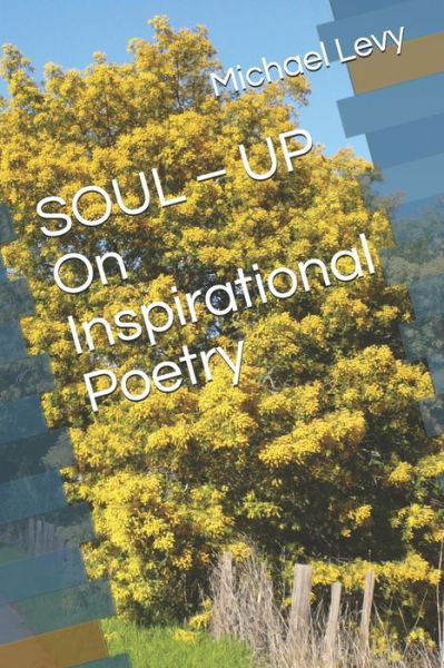 Cover for Michael Levy · SOUL - UP On Inspirational Poetry (Taschenbuch) (2020)