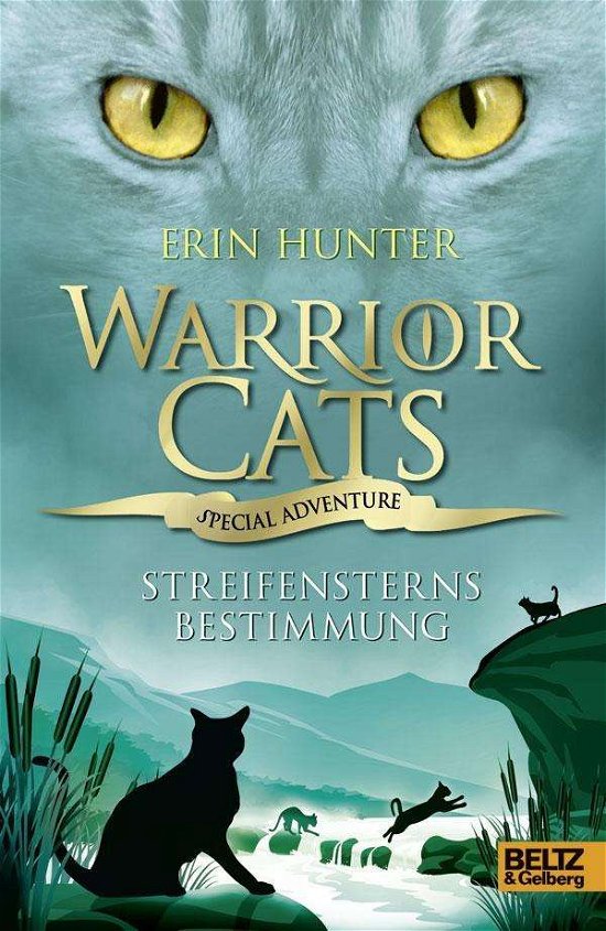 Cover for Hunter · Warrior Cats,Spec.Streifenstern (Book)
