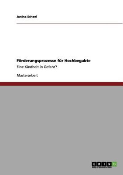 Cover for Scheel · Förderungsprozesse für Hochbegab (Book) [German edition] (2013)