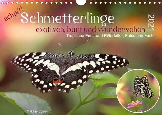 Achja?! Schmetterlinge, Exotisch, - Löwer - Bøger -  - 9783672349721 - 