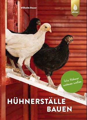 Hühnerställe bauen - Wilhelm Bauer - Books - Verlag Eugen Ulmer - 9783818617721 - April 25, 2024