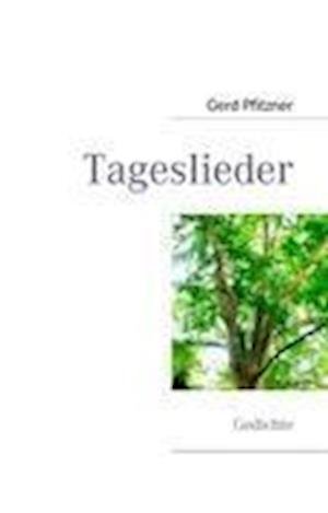 Cover for Pfitzner · Tageslieder (Book)