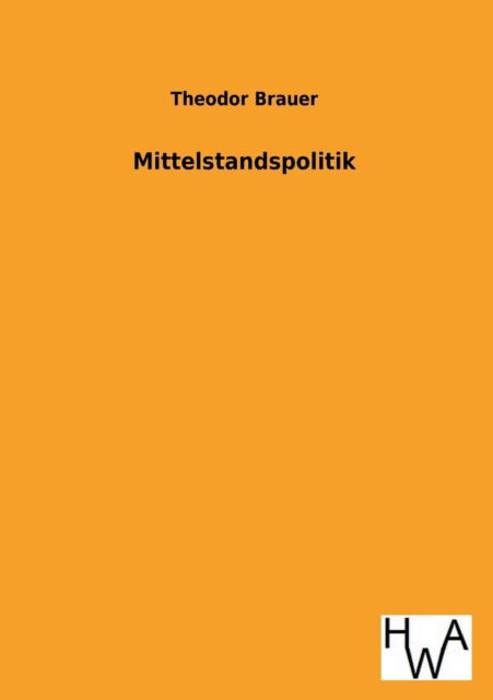 Cover for Theodor Brauer · Mittelstandspolitik (Paperback Book) [German edition] (2013)