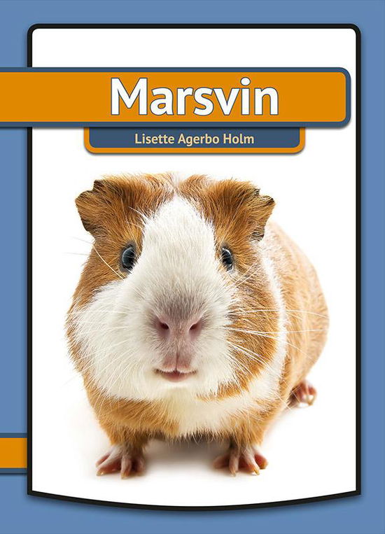 Cover for Lisette Agerbo Holm · Marsvin (Hardcover Book) [1. Painos] (2016)