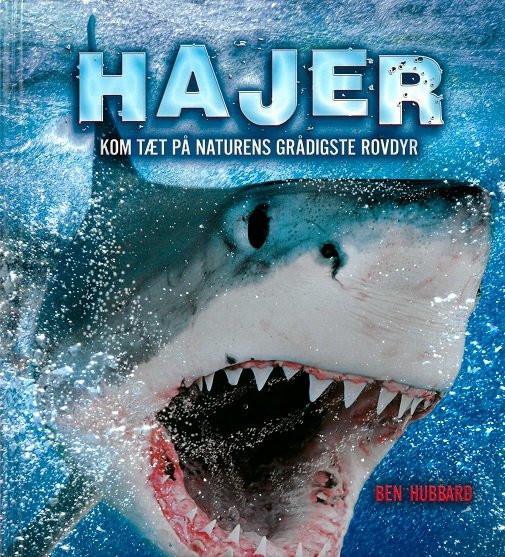 Hajer - Ben Hubbard - Bøker - Forlaget Flachs - 9788762731721 - 22. januar 2019