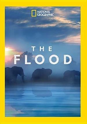 Cover for Flood (DVD) (2019)