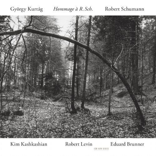 Schumann / Hommage - Kashkashian / Levin / Brunner - Musique - ECM - 0028943795722 - 25 octobre 1995