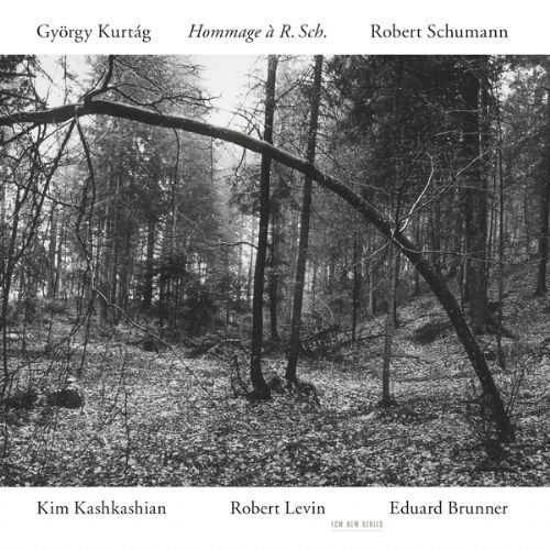 Cover for Kashkashian Kim / Levin Robert · Hommage a R.sch. (CD) (1995)