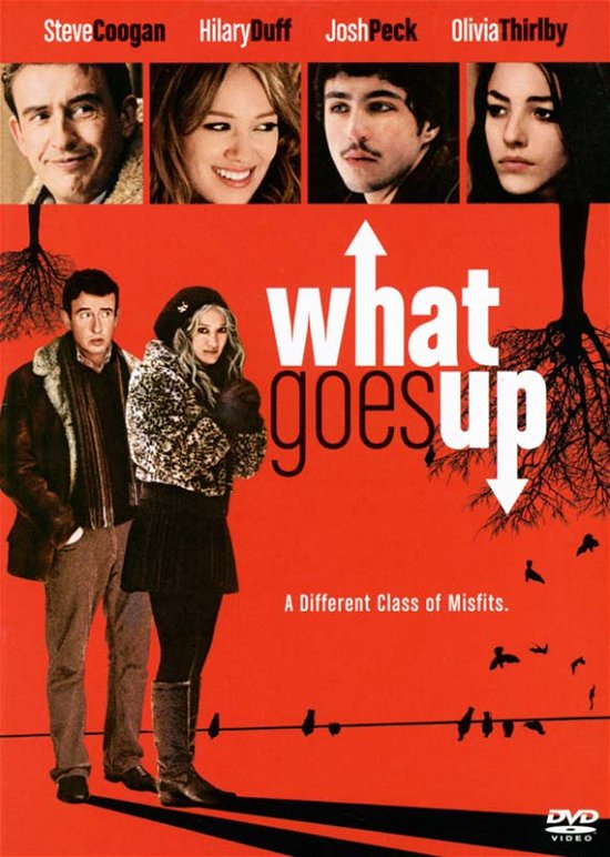 Cover for What Goes Up (DVD) [Widescreen edition] (2009)