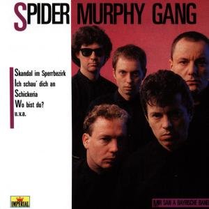 Cover for Spider Murphy Gang · Mir San a Bayrische Band (CD) (2010)